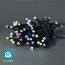 Lumières de Noël SmartLife | Corde | Wi-Fi | RGB | 42 LED's | 5.00 m | Android / IOS