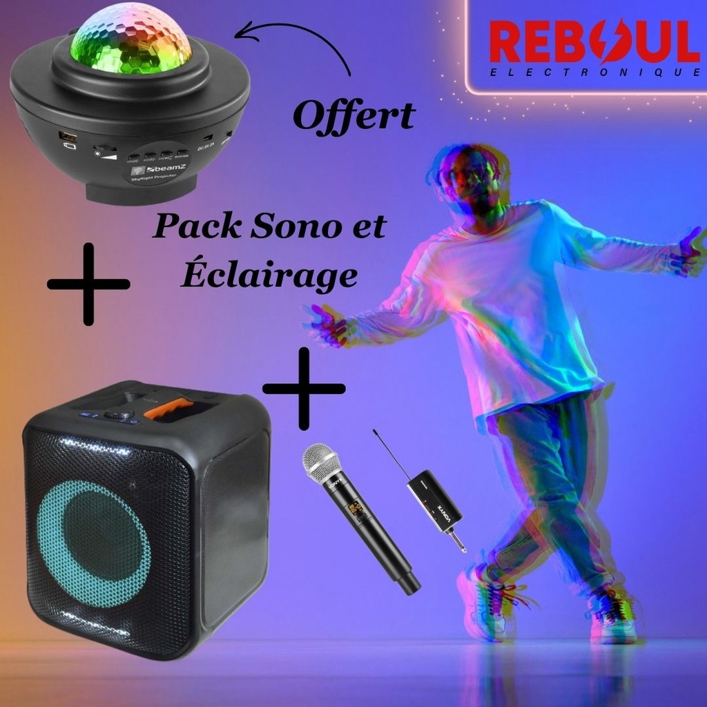 1 ENCEINTE + 1 MICRO + 1 PROJECTEUR