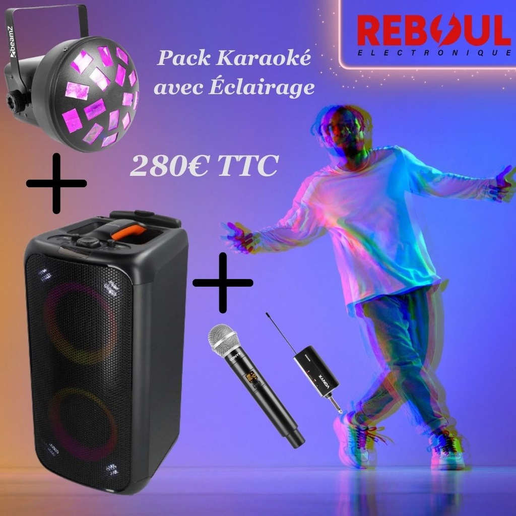 1 ENCEINTE + 1 MICRO + 1 PROJECTEUR