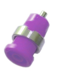 d. sécu rac. droit V. indus violette