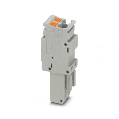 Fiche débrochable grise à technologie à ressort Push-In - 2 pôles